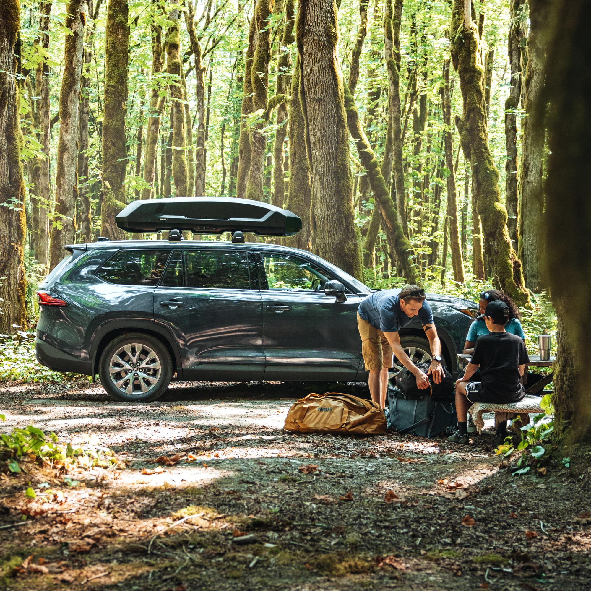 Thule Force 3 S