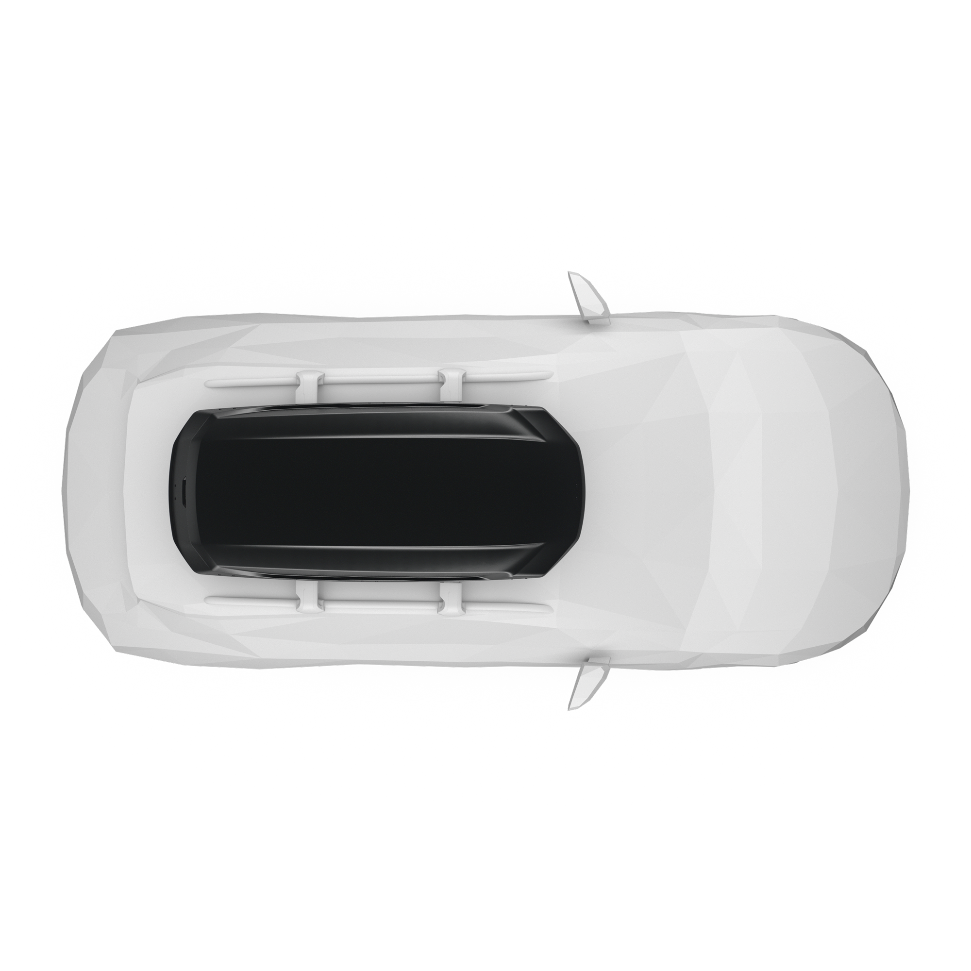 Thule Pulse 2 L