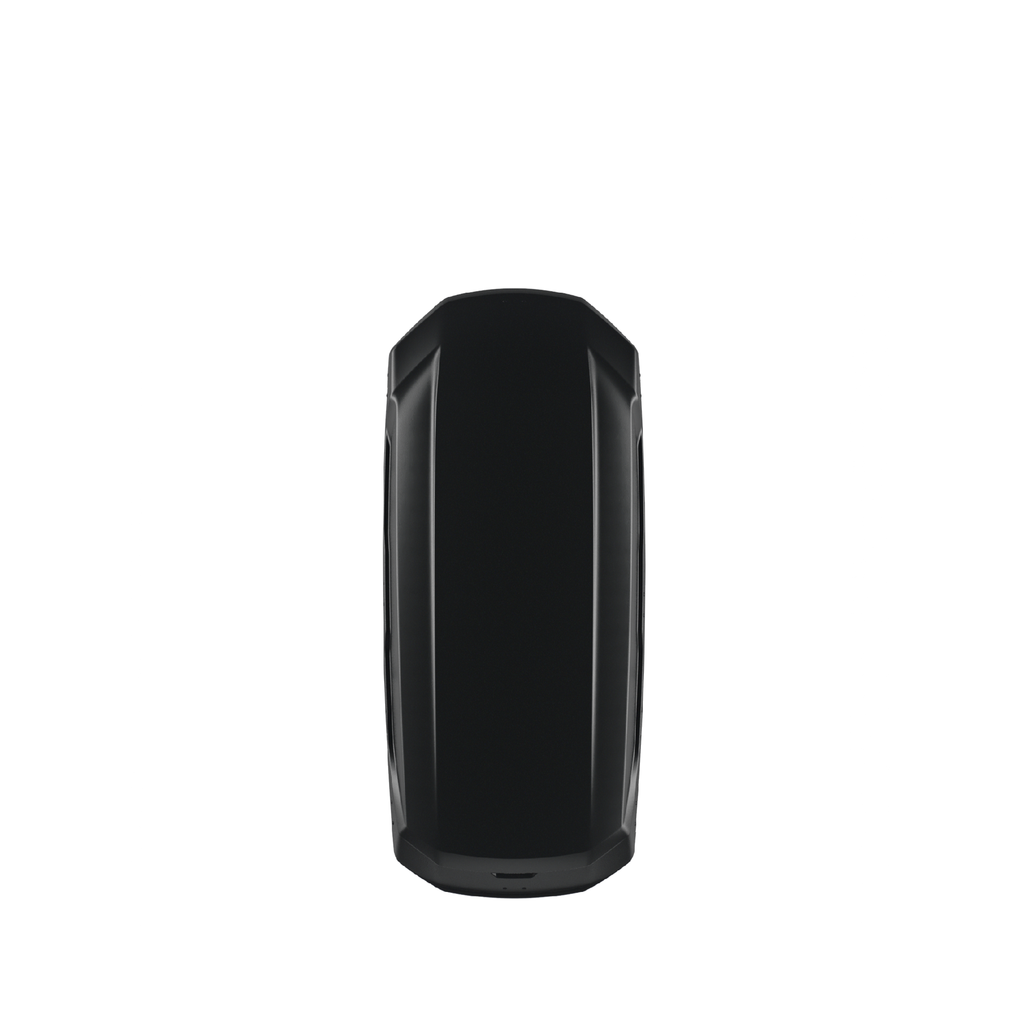 Thule Pulse 2 L